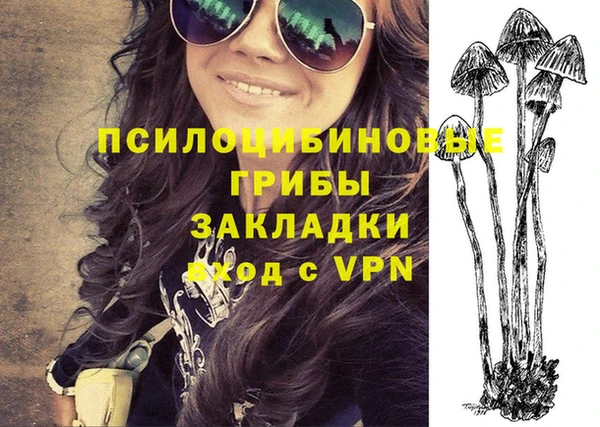mdpv Нея